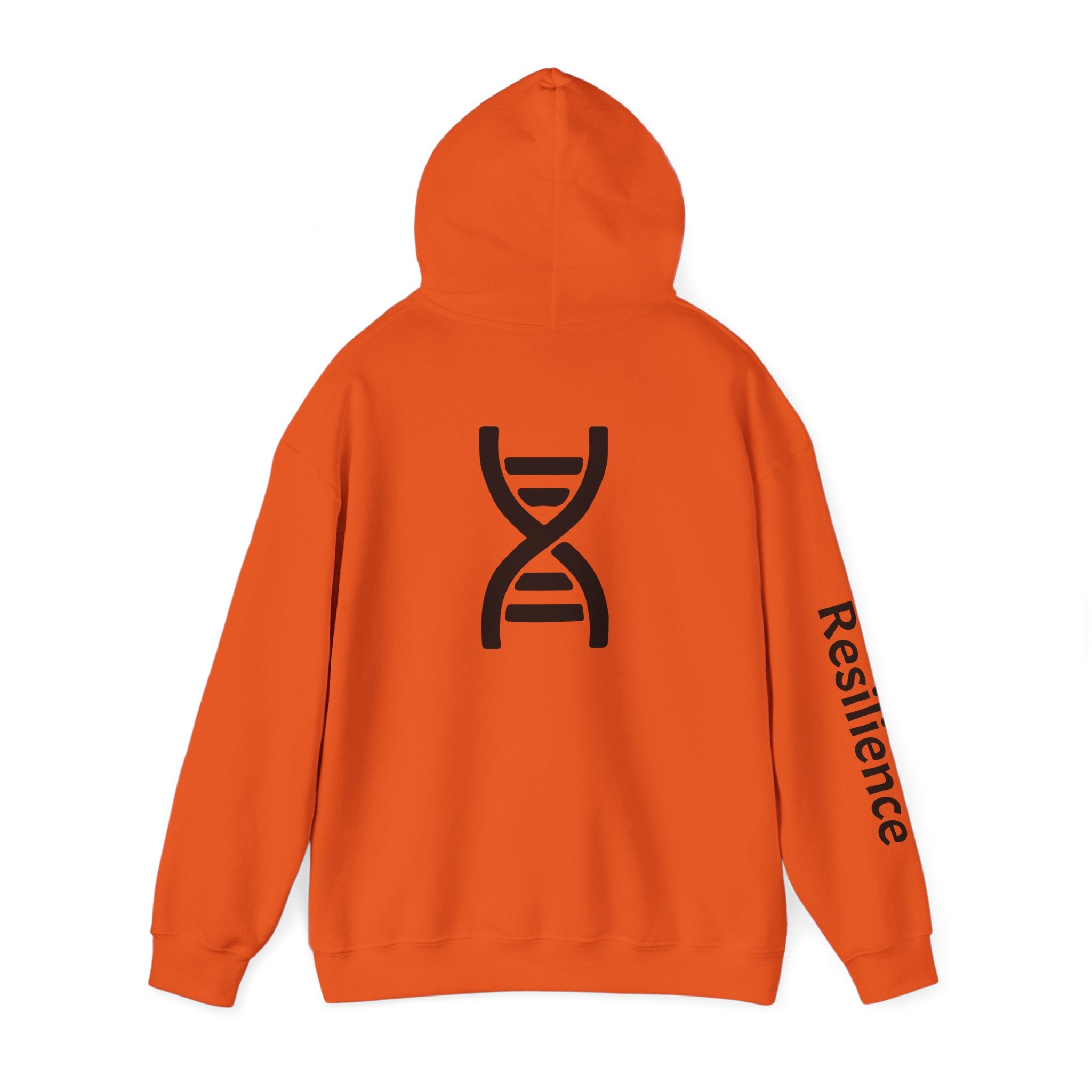 Inspiring Hoodies - Helix / Resilience